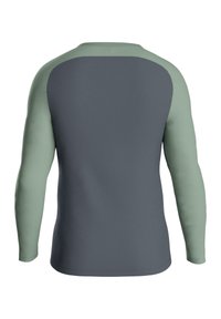 Langarmshirt mit einem dunkelgrauen Körper und hellgrünen Ärmeln. Glatte Textur, Rundhalsausschnitt und keine sichtbaren Muster oder Beschläge.