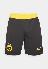 Pantaloni sportivi neri con una vita elastica gialla, caratterizzati da un logo giallo con "BVB 09" e un logo Puma sulla parte inferiore della gamba. Texture liscia.