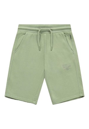 Lichtgroene katoenen shorts met elastische tailleband, trekkoord, zijzakken en een klein bedrukt logo op de linker dij.