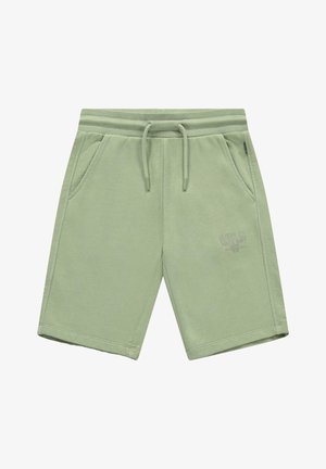 Lichtgroene katoenen shorts met elastische tailleband, trekkoord, zijzakken en een klein bedrukt logo op de linker dij.