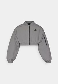 CE BOMBER - Giacca invernale - grey
