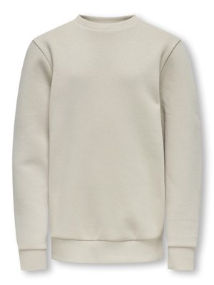 Sweatshirt - silver lining