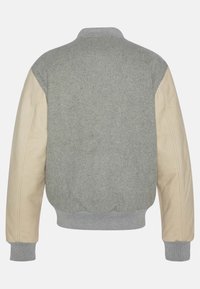 Schott LCUSA COLLEGE - Bomber-jakk - grau