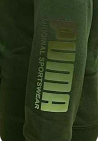 Felpa verde oliva con grande scritta sbiadita "PUMA" e dettaglio "Original Sportswear" sulla manica. Tessuto morbido e vestibilità comoda.