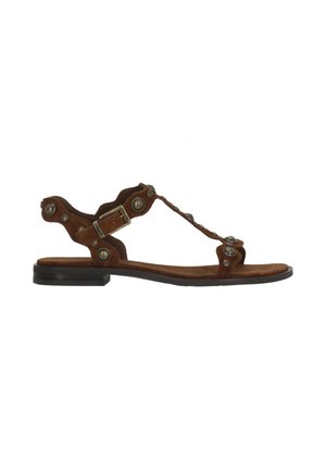Ash, SANDALI PHANNY - Sandalias - marrone