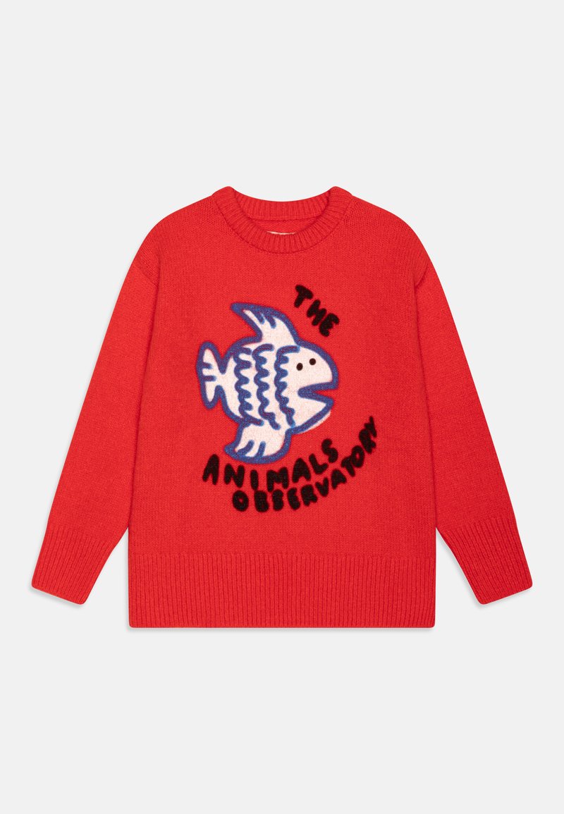 THE ANIMALS OBSERVATORY BULL KIDS UNISEX - Jumper - red