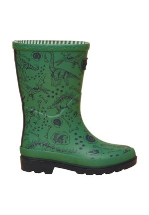 Roheline laste vihmakuub, millel on must tald, kaunistatud musta dinosauruse ja fossiilide joonistega, triibuline sisustus ja küljele kinnitatud logo silt.