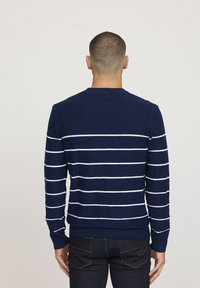 Pull rayé marine avec des rayures blanches horizontales, en tissu tricoté, col rond, et poignets et ourlet côtelés. Vu de dos.