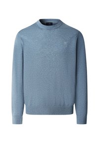 Lichtblauwe gebreide trui met een ronde hals, lange mouwen, geribbelde boorden en zoom, met een klein logo op de borst. Zachte textuur.