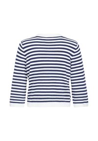 Meriinomuusika pikad varrukad laigulise triibuga, sinine ja valge, ümar kaelus ning valged mansetid ja servad, nähtud tagantpoolt.