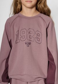 Lila sweatshirt med raglanärmar i en mörkare nyans, med "1923" tryckt i mörklila och en bi-grafik under. Mjuk textur, rund halsringning.