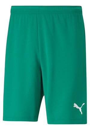 TEAMRISE  MAND - Pantaloncini sportivi - gruenweiss