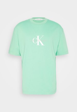 Mintgroene katoenen t-shirt met korte mouwen, voorzien van een witte logo-afdruk van "CK" en "Calvin Klein Jeans" aan de voorkant.