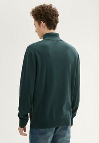 TOM TAILOR DENIM BASIC ROLLKRAGEN - Strickpullover - dark gable green