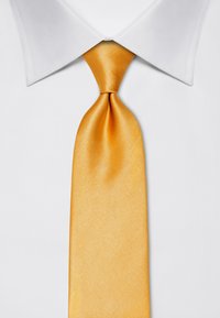 Vincenzo Boretti UNI - Cravatta - gold