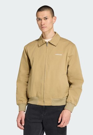 GRAPHIC REG - Trainingsvest - orbit green