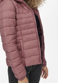Lightweight, quilted puffer jacket in muted rose color, featuring a full zip, hood, and elastic cuffs. Pockets on the sides.
