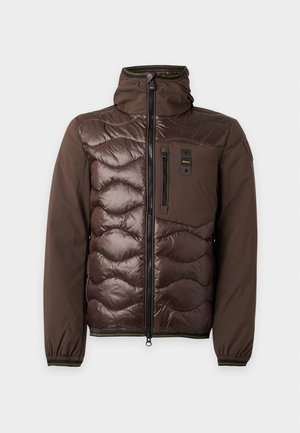Blauer, ALBERT - Vinterjakker - brown