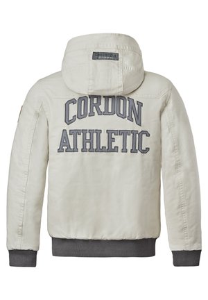 ACTIVE  - Winter jacket - stone