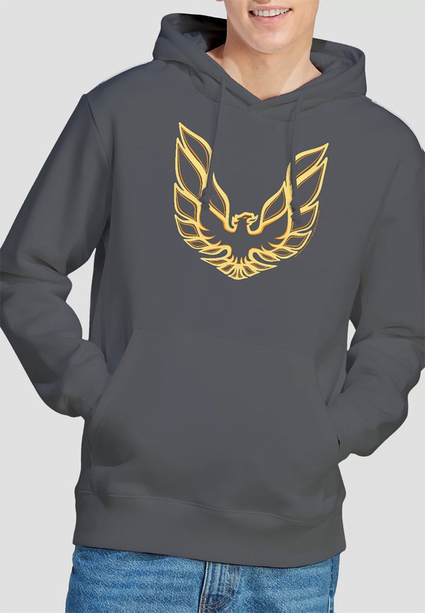 PONTIAC ICONIC FIREBIRD - Kapuzenpullover - anthracite