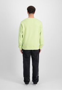 Light green crewneck sweatshirt with ribbed cuffs and hem, paired with black straight-leg pants, viewed from the back against a white background.