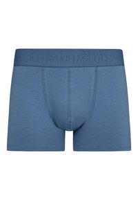 Modré pánské boxerky vyrobené z měkké látky. Jsou vybaveny elastickým pasem s embosovaným logem a těsným střihem.