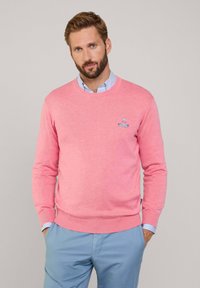 Maglione rosa chiaro con maniche lunghe e scollatura a girocollo, con un piccolo logo ricamato sul petto. Indossato sopra una camicia a righe blu e bianche.