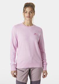 Jasnoróżowy długi rękaw pulower z okrągłym dekoltem i logo na piersi. Gładka tekstura i ściągacze na rękawach. Materiał bawełniany.