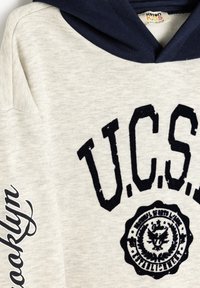 Felpa leggera grigia in cotone con cappuccio blu navy, grande scritta nera "U.C.S." e un emblema circolare con un design ad aquila.