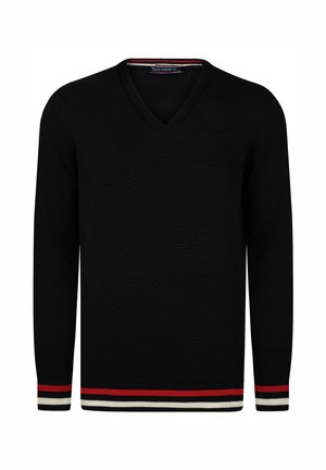 V-NECK LONG SLEEVE - Strickpullover - black