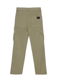 Indian Blue jeans WIDE STRAIGHT - Cargohose - timber wolf