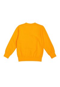 Felpa arancione con maniche lunghe, polsini e orlo a costine, scollo rotondo, realizzata in morbido cotone, con una consistenza liscia.