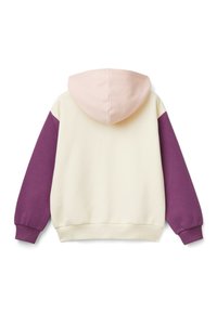 United Colors of Benetton OPEN BRUSHED  - Jersey con capucha - multicolor