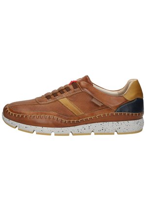 FUENCARRAL - Baskets basses - brown