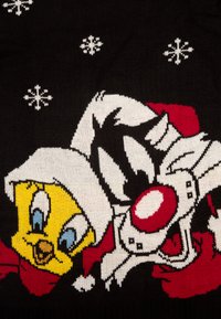 Maglione con Tweety e Sylvester vestiti per l'inverno. Sfondo nero con fiocchi di neve bianchi, design a maglia e colori vivaci.