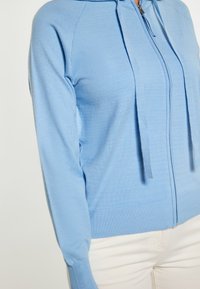 Felpa con zip di colore azzurro chiaro realizzata in un materiale morbido. Presenta una tasca a marsupio, cordini e polsini e orlo a costine.