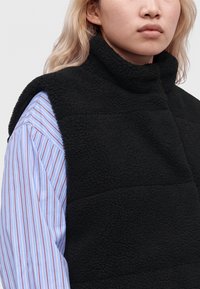 Άτομο που φοράει μαύρο υφασμάτινο fleece γιλέκο πάνω από μπλε και λευκό ριγέ πουκάμισο, εμφανιζόμενο από τον λαιμό μέχρι το μέσο του κορμού.