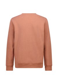 Long-sleeve sweatshirt in soft, light terracotta fabric. Features a round neckline, ribbed cuffs, and a smooth, minimalist back design.
