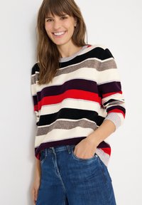 Pullover mit horizontalen Streifen in Rot, Schwarz, Weiß, Grau und Lila. Weiches Strickmaterial; runder Ausschnitt; lange Ärmel. Kombiniert mit blauer Jeans.