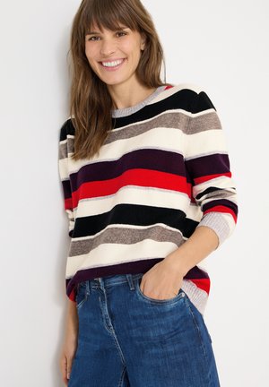 Pull avec des rayures horizontales en rouge, noir, blanc, gris et violet. Matière tricot douce ; encolure ronde ; manches longues. Assorti avec un jean en denim bleu.