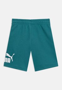 Τιρκουάζ σορτς με ελαστική μέση και λευκό λογότυπο Puma στο κάτω αριστερό πόδι, εμφανίζεται σε λευκό φόντο.