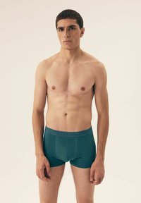 Bokserskie majtki w kolorze teal, wykonane z miękkiego materiału, z dopasowanym krojem i elastycznym paskiem w talii, z wytłoczonym nazwą marki na pasku.