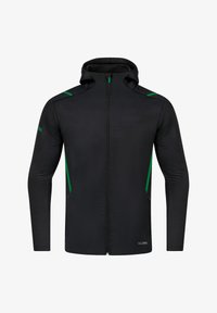 Unausgewählt, schwarzgruen