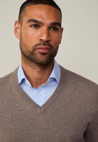 Ruskea neulottu V-pääntie villapaita, jonka päällä on vaaleansininen raidallinen paitapusero. Villapaidassa on sileä pinta ja rento istuvuus.