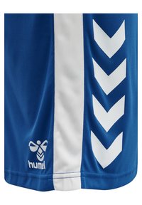 Niebieskie spodenki sportowe wykonane z gładkiego materiału, z białą paskiem po boku w wzory chevron oraz logo w dolnym rogu.