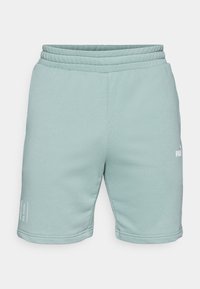 SPORT GRAPHIC SHORTS - Pantalón corto de deporte - green moon