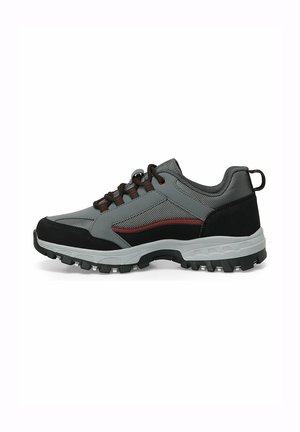 Trainers - d grey