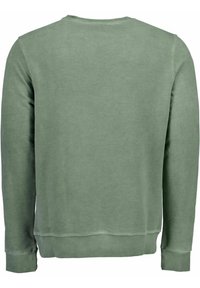 Felpa verde con maniche lunghe, scollatura rotonda e polsini a coste. Tessuto liscio con una semplice e uniforme design a tinta unita.