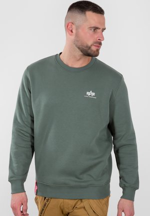 Grüner Sweatshirt mit rundem Halsausschnitt und gerippten Bündchen. Verfügt über ein kleines weißes Logo auf der Brust und eine strukturierte Stoffoberfläche.