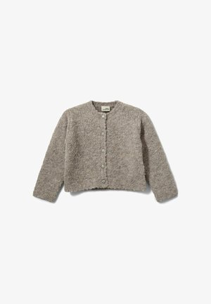 Cardigan lavorato a maglia beige con maniche lunghe, scollatura rotonda e cinque bottoni frontali. Tessuto testurizzato con un aspetto morbido. Design cropped.